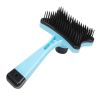 Plastic Push Brush for Cat and Dogs Pet Groom Bath Brush Hair Removal Brush Best Price